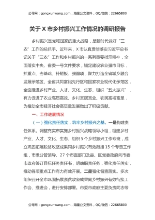 关于X市乡村振兴工作情况的调研报告
