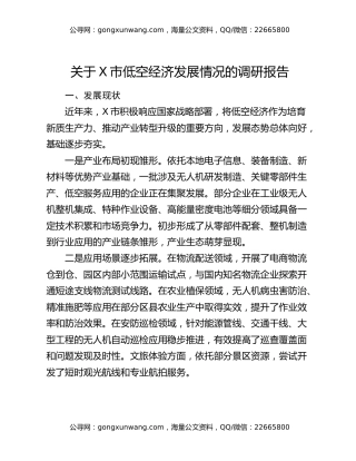 关于X市低空经济发展情况的调研报告​