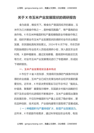 关于X市玉米产业发展现状的调研报告