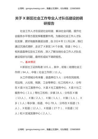 关于X新区社会工作专业人才队伍建设的调研报告