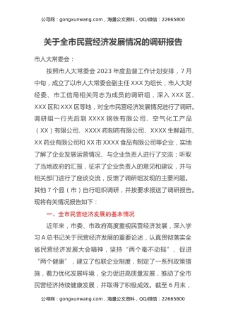 关于全市民营经济发展情况的调研报告