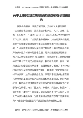关于全市民营经济高质量发展情况的调研报告