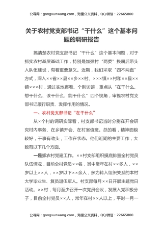 关于农村党支部书记“干什么”这个基本问题的调研报告