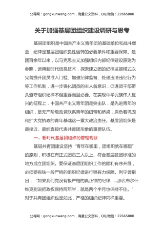 关于加强基层团组织建设调研与思考
