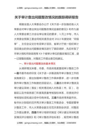 关于审计查出问题整改情况的跟踪调研报告