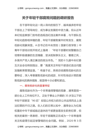 关于年轻干部腐败问题的调研报告