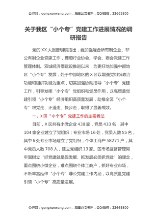 关于我区“小个专”党建工作进展情况的调研报告