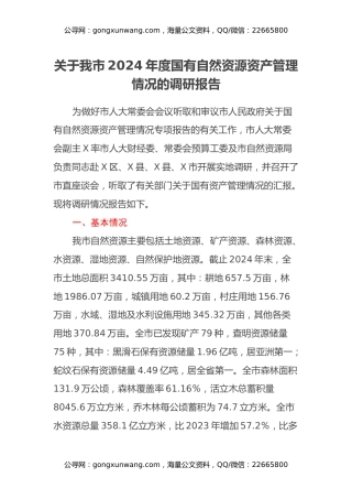 关于我市2024年度国有自然资源资产管理情况的调研报告
