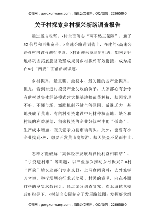 关于村探索乡村振兴新路调查报告 (2)