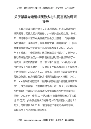 关于某县党建引领民族乡村共同富裕的调研报告