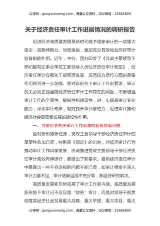 关于经济责任审计工作进展情况的调研报告