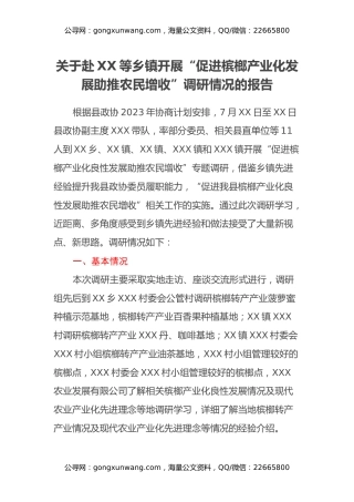 关于赴XX等乡镇开展“促进槟榔产业化发展助推农民增收”调研情况的报告