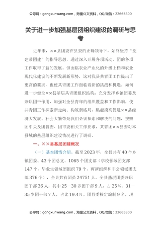 关于进一步加强基层团组织建设的调研与思考