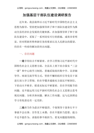 加强基层干部队伍建设调研报告