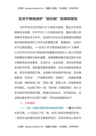 区关于耕地保护“田长制”的调研报告