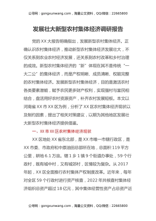 发展壮大新型农村集体经济调研报告 (2)