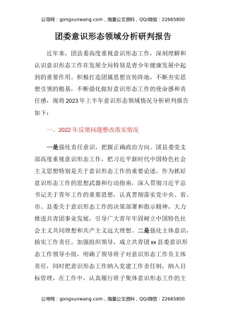 团委意识形态领域分析研判报告