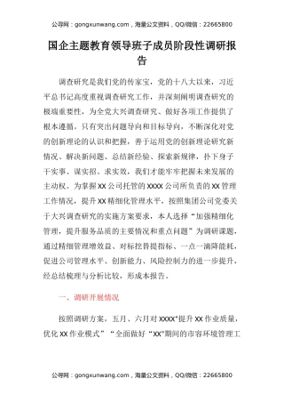 国企主题教育领导班子成员阶段性调研报告