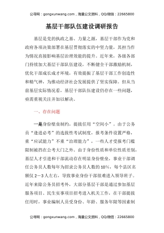 基层干部队伍建设调研报告
