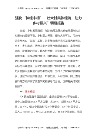 强化‘神经末梢’，壮大村集体经济，助力乡村振兴” 调研报告