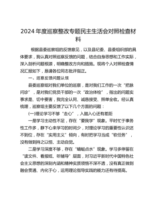 2024年度巡察整改专题民主生活会对照检查材料