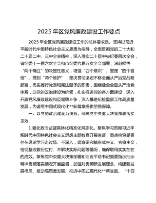 2025年区党风廉政建设工作要点