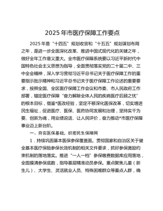 2025年市医疗保障工作要点