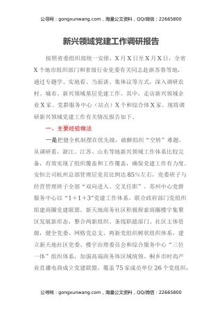 新兴领域党建工作调研报告