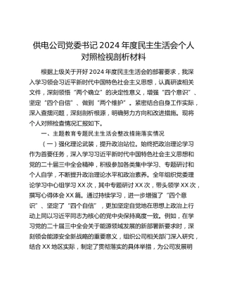 供电公司党委书记2024年度民主生活会个人对照检视剖析材料