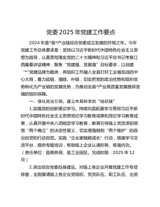 党委2025年党建工作要点