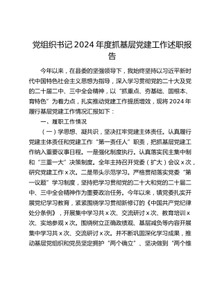 党组织书记2024年度抓基层党建工作述职报告