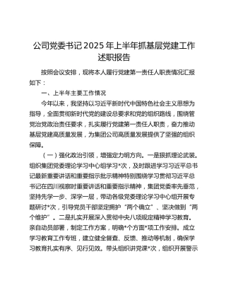 公司党委书记2025年上半年抓基层党建工作述职报告