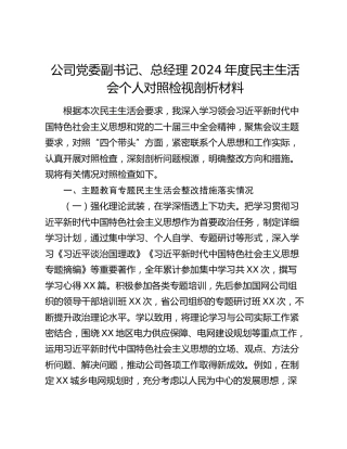 公司党委副书记、总经理2024年度民主生活会个人对照检视剖析材料