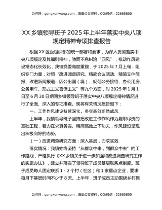 XX乡镇领导班子2025年上半年落实中央八项规定精神专项排查报告