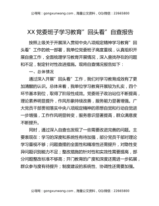 xx党委班子八项规定精神学习教育”回头看”自查报告