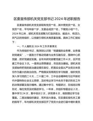 区委宣传部机关党支部书记2024年述职报告