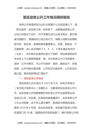 某区政务公开工作情况调研报告