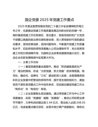 国企党委2025年党建工作要点