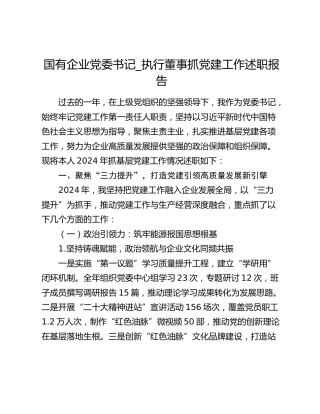 国有企业党委书记_执行董事抓党建工作述职报告