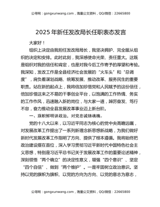 2025年新任发改局长任职表态发言
