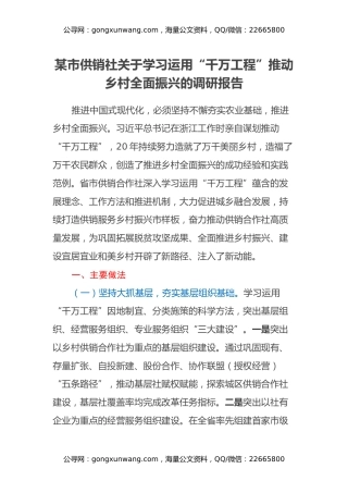 某市供销社关于学习运用千万工程推动乡村全面振兴的调研报告