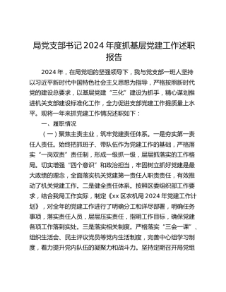 局党支部书记2024年度抓基层党建工作述职报告