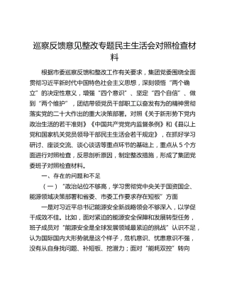 巡察反馈意见整改专题民主生活会对照检查材料