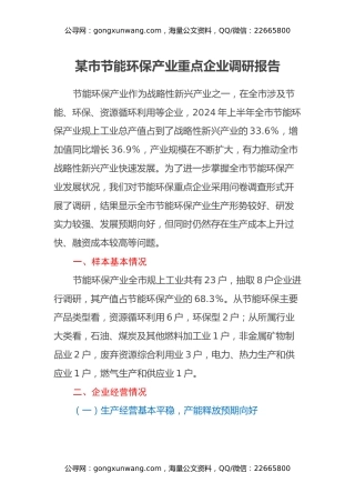 某市节能环保产业重点企业调研报告