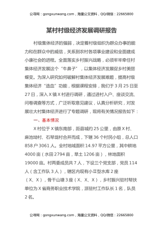 某村村级经济发展调研报告