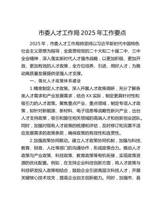 市委人才工作局2025年工作要点