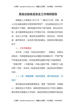 某自治县食品安全工作调研报告