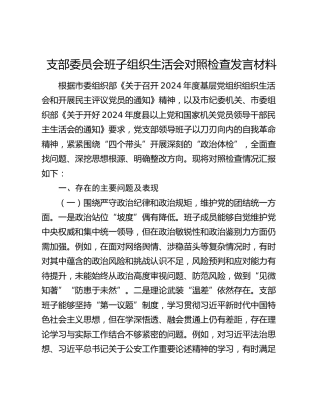 支部委员会班子组织生活会对照检查发言材料