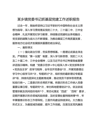某乡镇党委书记抓基层党建工作述职报告