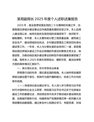 某局副局长2025年度个人述职述廉报告